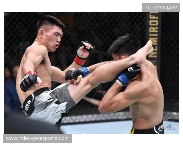 奥马利对阵宋亚东战术预测：站立打击与地面缠斗优劣势对比